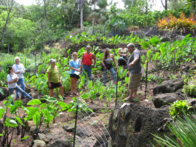 Waimea Valley