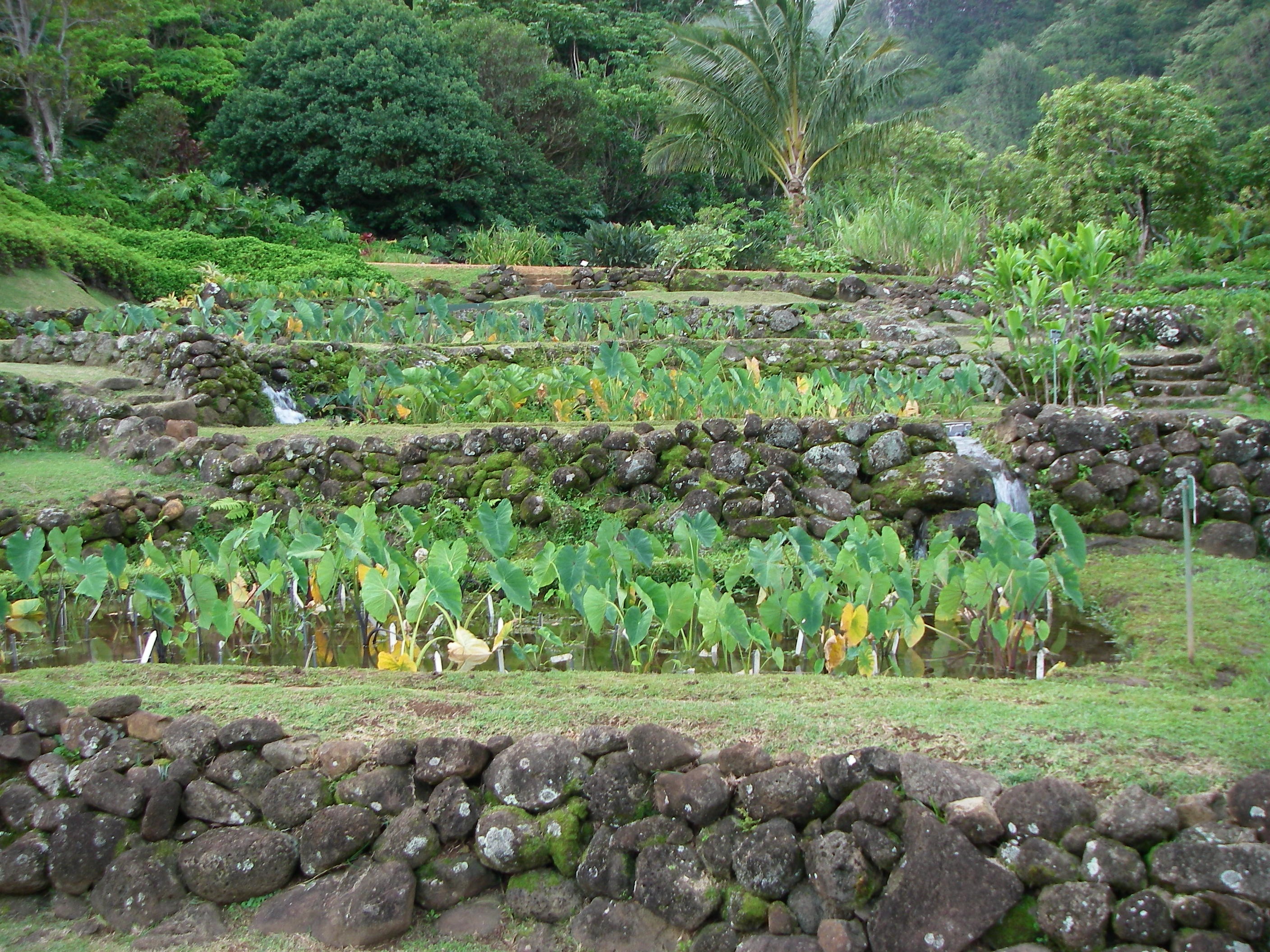 Limahuli Botanical Garden