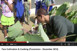 Punavision, Taro Cultivation and Cooking